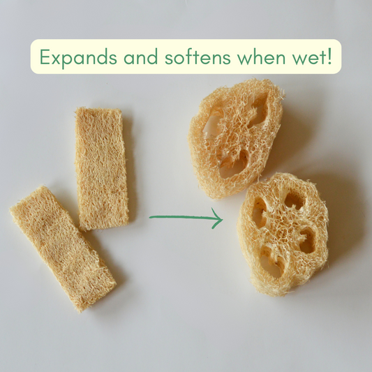 Natural Loofah Sponge for Dish or Bath - Set of 2