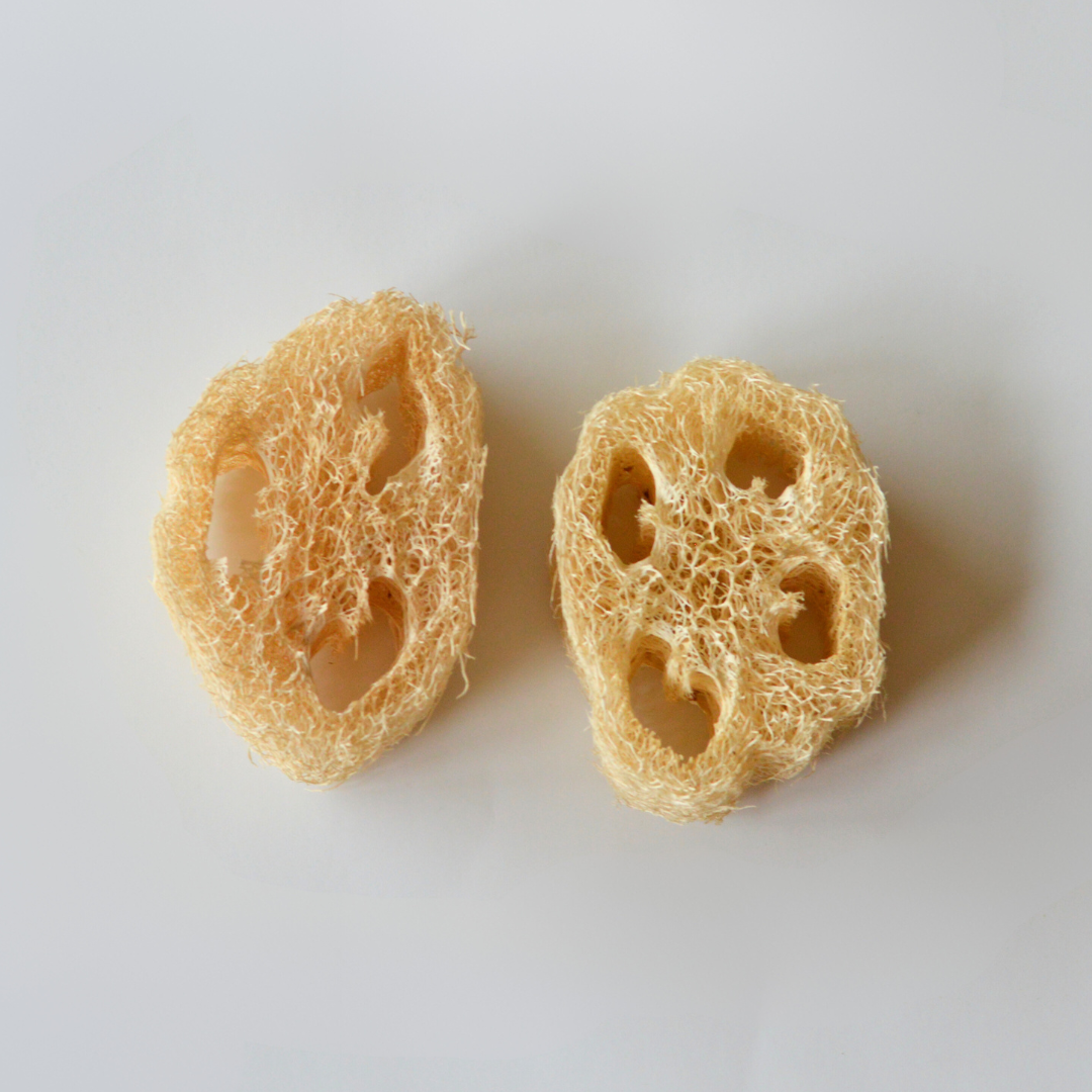 Natural Loofah Sponge for Dish or Bath - Set of 2