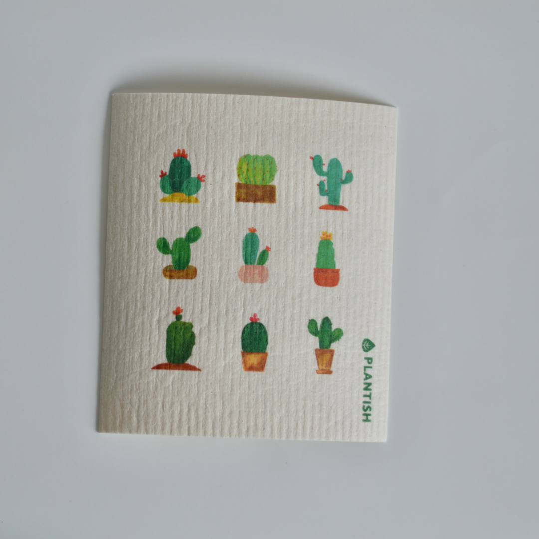 Dishwashing Eco-Essentials Bundle