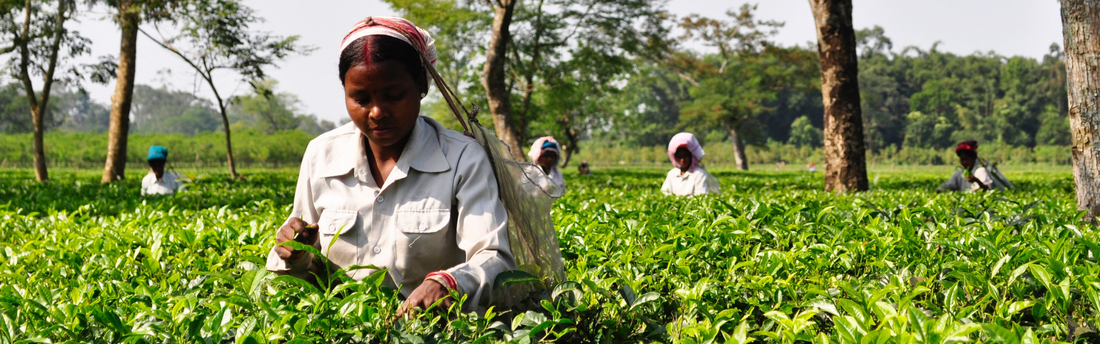 What is Fair Trade, and Why Should You Care?