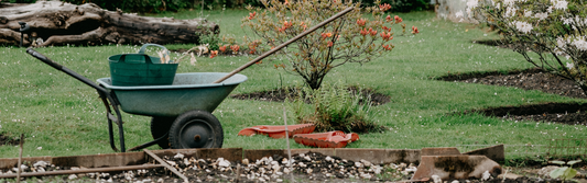 10 Sustainable Gardening Tips for the Eco-friendly Gardener