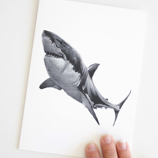 Shark Blank Greeting Card